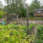 北欧・スウェーデンの家 ナンシー・ベッティルソンさんのご自宅1